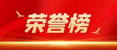 南岸区人大代表贡献榜单发布  集团董事、总经理黄怡霖上榜